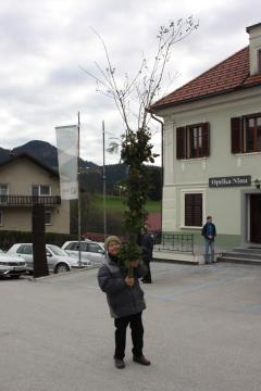 2023-Atelšek_Franjo (4)